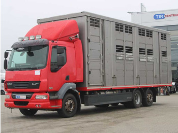 Livestock truck DAF LF 55 280