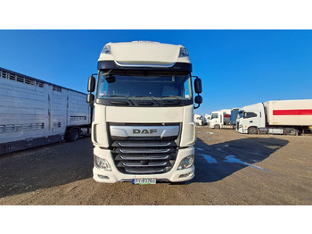 Tractor unit DAF XF 480 FT CIĄGNIK SIODŁOWY: picture 3