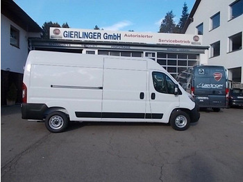 Panel van FIAT Ducato