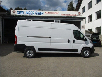 Panel van FIAT Ducato